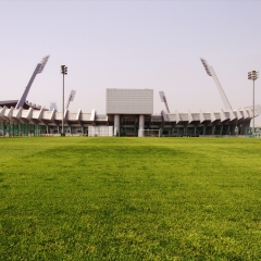 山东、体育中心_6125