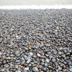 浙江省舟山市乌石塘海滩_6597