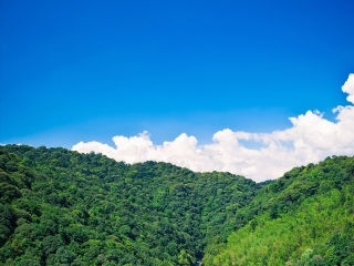 龙门