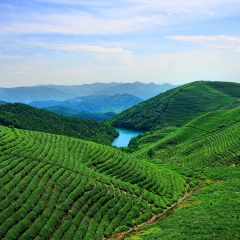 浙江省宁波东钱湖福泉山_6549