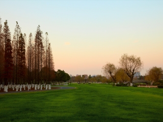 龙背山森林公园