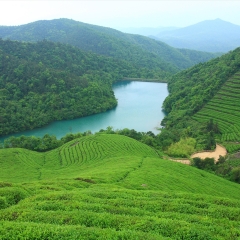 浙江省宁波东钱湖福泉山_6548