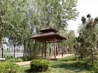 山东泰安太阳部落