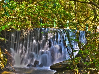 武夷山龙川大峡谷