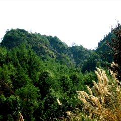 中国旅游景区、、竹安寨_6986
