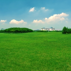 蓝天草地_6678