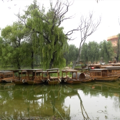 太阳部落风光_6904