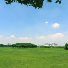 蓝天草地_6677
