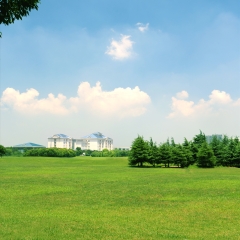 蓝天草地_6676