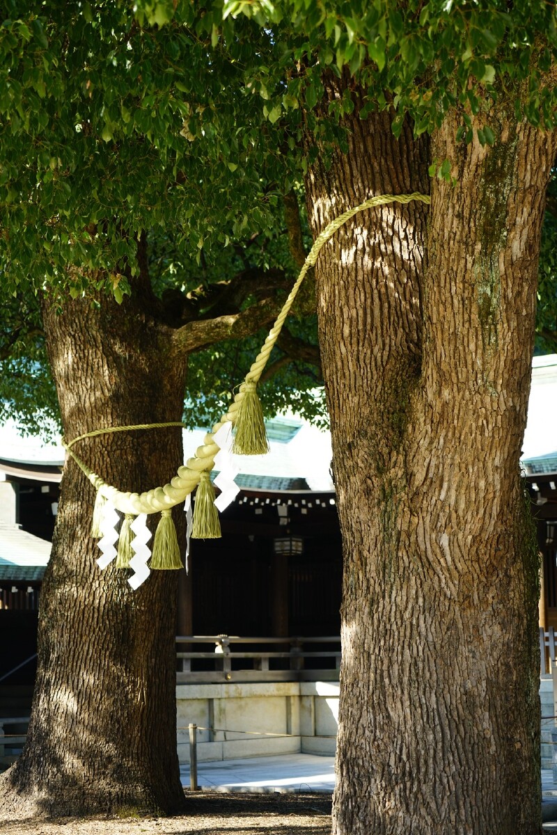 明治神宫满满的愿望和祝福都在这绘马墙上.