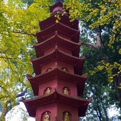 天童寺_5493