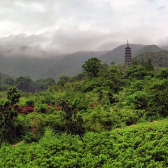 天童寺_5492