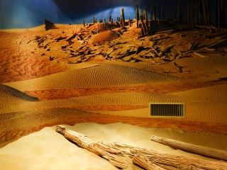 乌鲁木齐博物馆