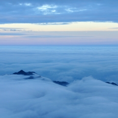 江西三清山风光_5565