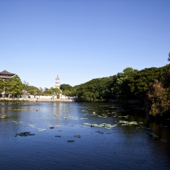 浙江省普陀山海印池_5302