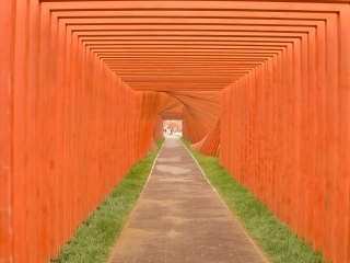 世界葡萄博览园