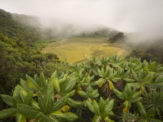 卢旺达火山国家公园