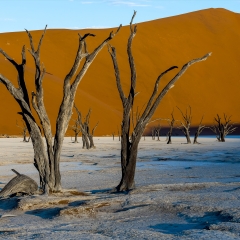 景点模块 