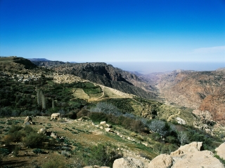 达纳自然保护区