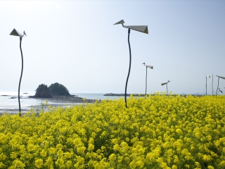 安眠岛