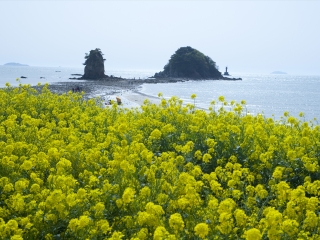 安眠岛
