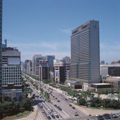 延世路_5159
