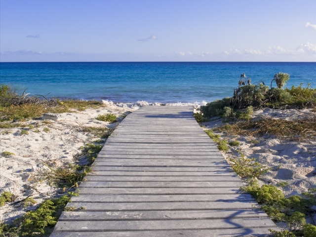 特惠 墨西哥+智利+阿根廷+ 巴西+秘鲁+古巴25