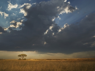 埃托沙国家公园
