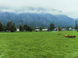 萨尔斯卡默古特