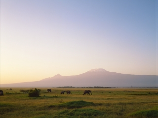 安博塞利国家公园