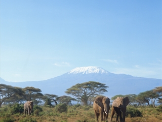安博塞利国家公园