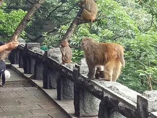 回答图片
