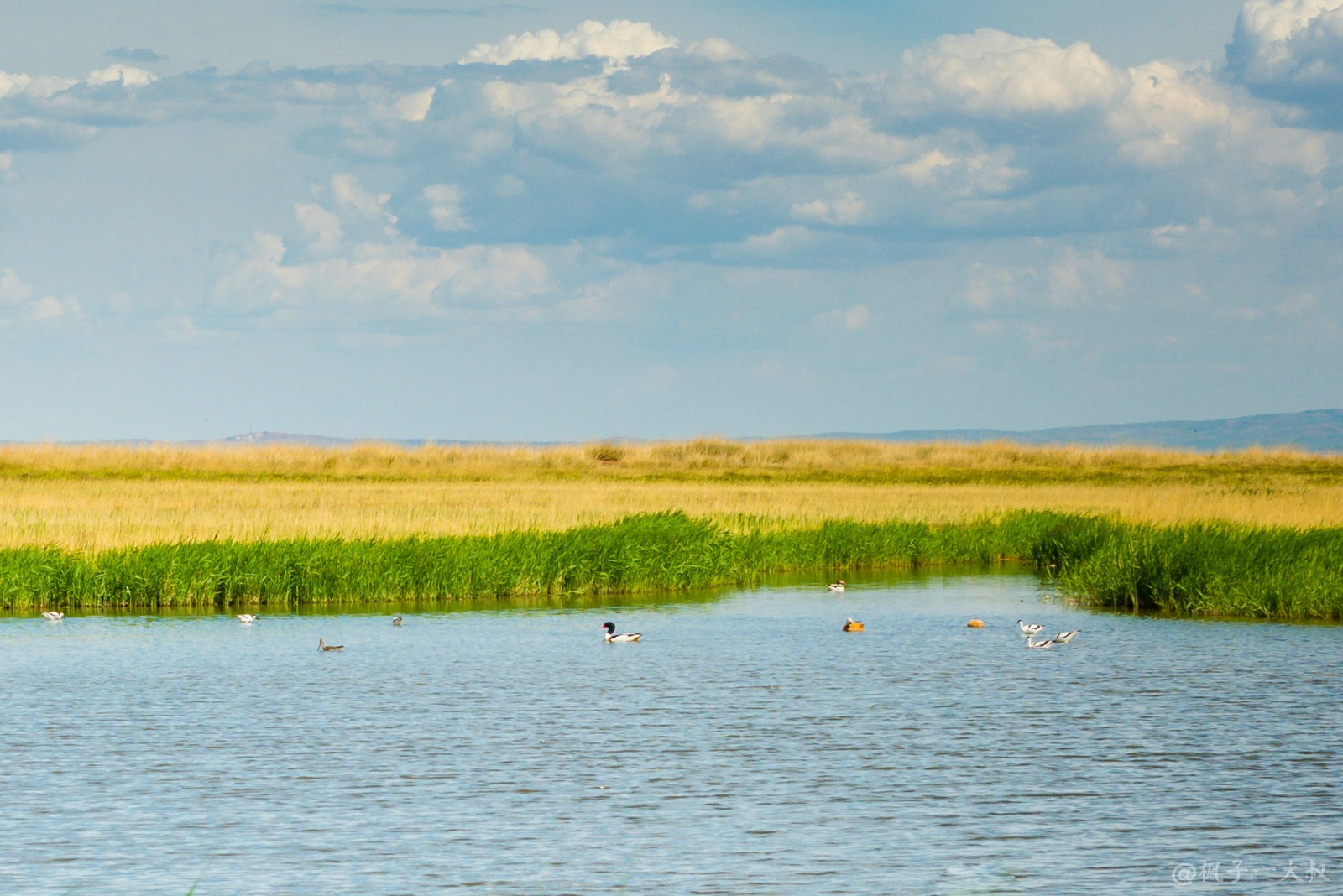 以盛产晶莹剔透,色美味浓的大青盐而驰名中外,是内蒙古三大盐场之一