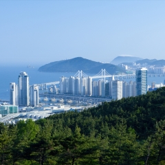 釜山港口_1548