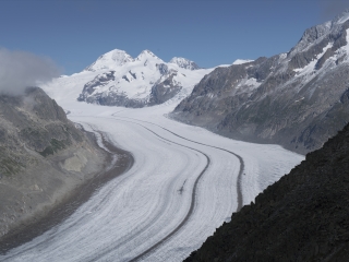 阿莱齐冰川