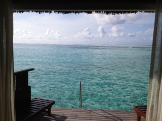 康斯坦哈拉薇丽岛