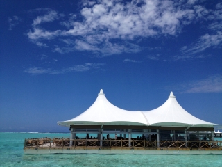 康斯坦哈拉薇丽岛