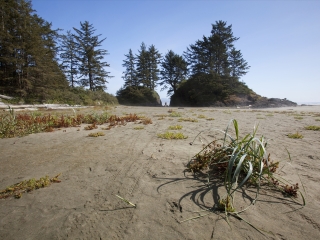 环太平洋公园保护区