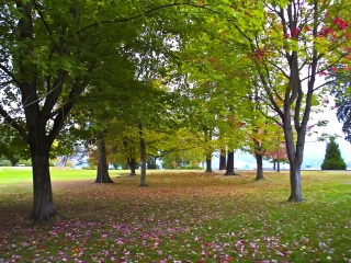 菲朗莱省级公园