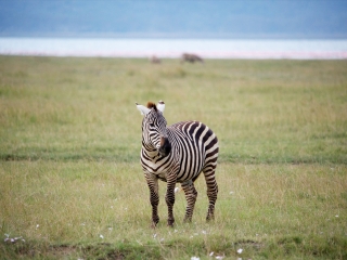 纳库鲁湖国家公园