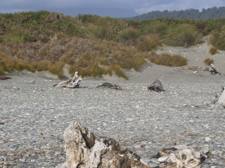 阿尔卑斯国家公园