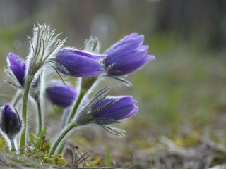维尔茨堡老城区