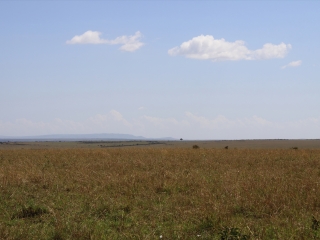 恩戈罗恩戈罗保护区