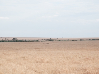 恩戈罗恩戈罗保护区