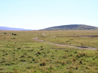 恩戈罗恩戈罗保护区