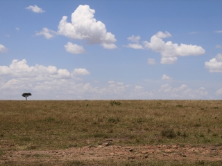 恩戈罗恩戈罗保护区
