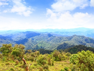 因他农山国家公园