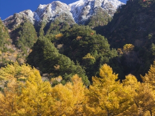 上高地