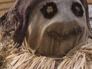 蒙特利尔植物园