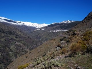 内华达山脉国家公园